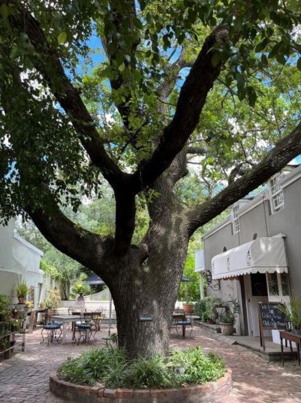 Cafe Felix & Old Oak Manor Hotell Riebeek-Kasteel Eksteriør bilde