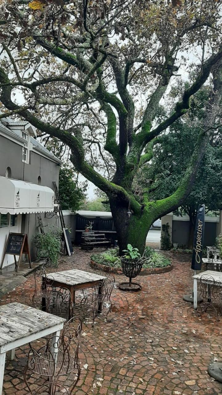 Cafe Felix & Old Oak Manor Hotell Riebeek-Kasteel Eksteriør bilde